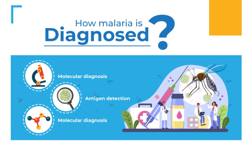 How is malaria diagnosed?