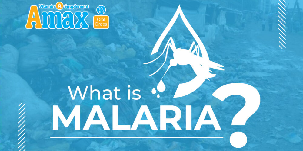 what is malaria?