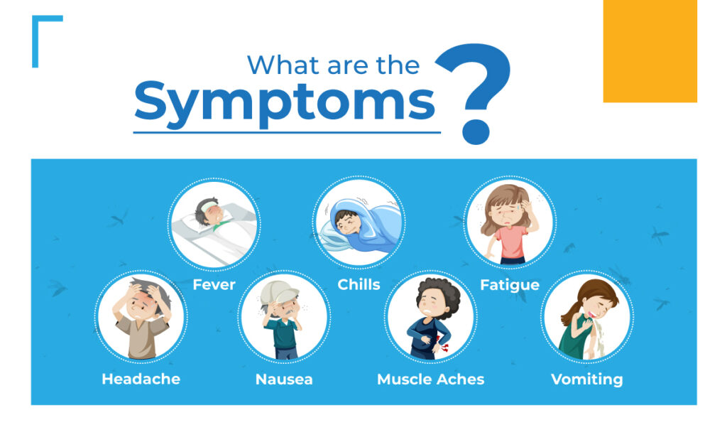 symptoms of malaria fever