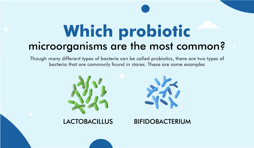 Which probiotic microorganisms are the most common?