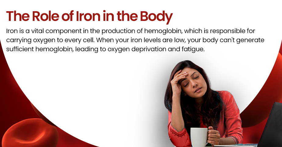 The Role of Iron in the Body